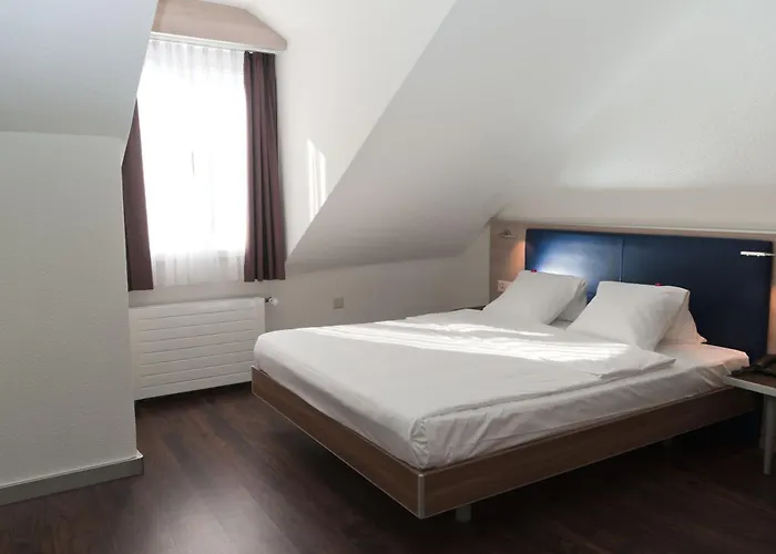 Alexander Old Town ציריך